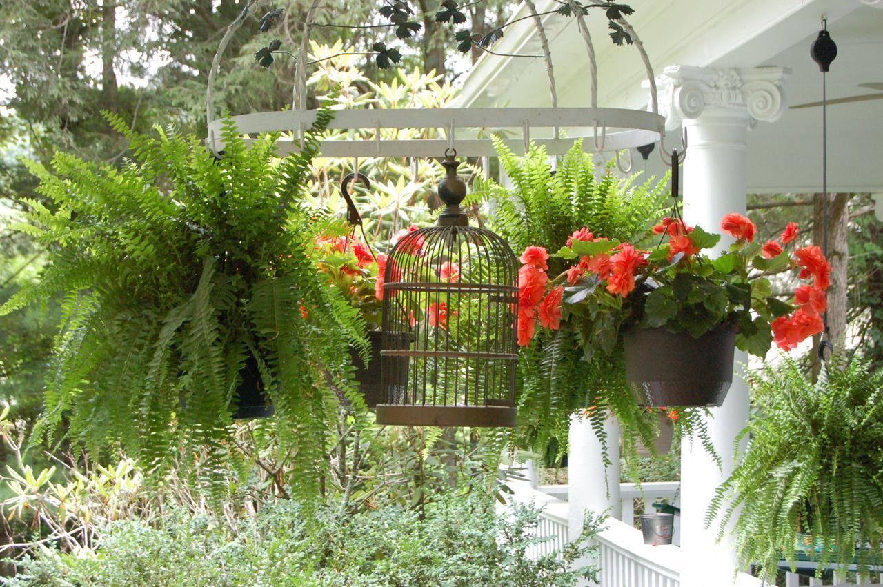 Mountain Laurel Inn Damascus Zewnętrze zdjęcie